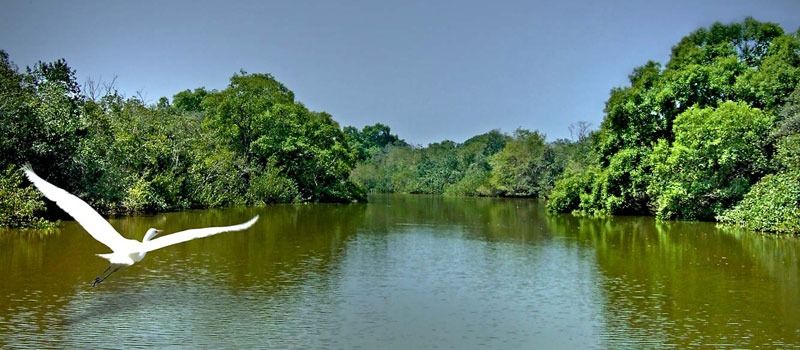 Bhitarkanika National Park